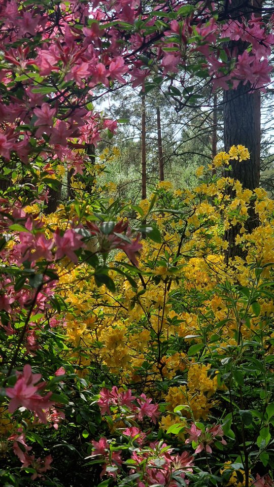 Summer is life, color is life! #Helsinki #Finland