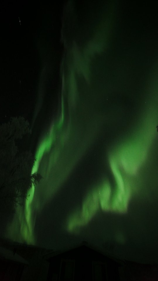 While I dislike listening to me, nothing reminds me more this is ME, this was real time, and it was also in a difficult time. It was just a great gift from nature, I am convinced!!

#northernlights  #northernlightsvideos #auroraborealis