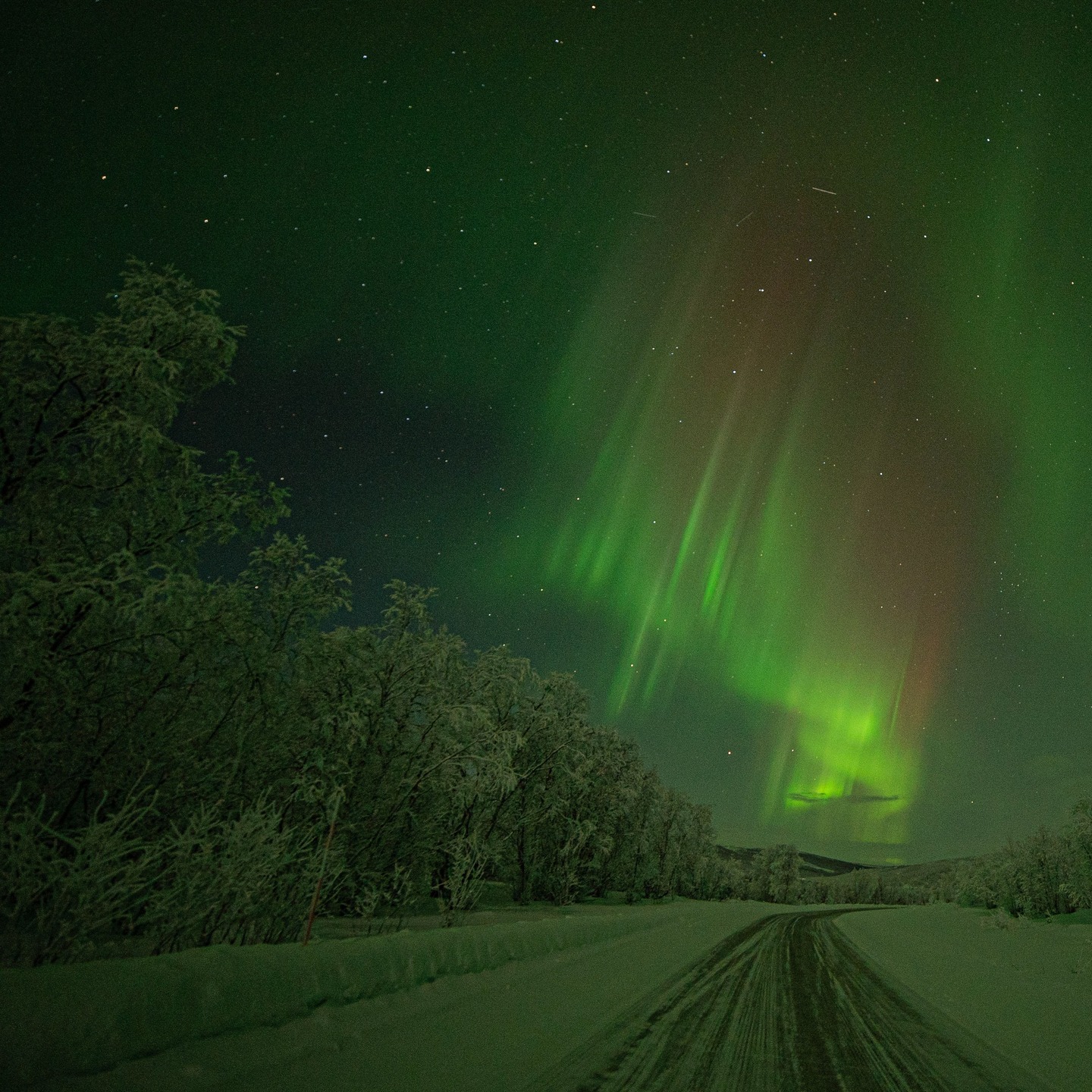 Utsjoki, Finland 
The lights were going south so I went to the road. Not a problem at all with traffic or anything ;) 
Middle of nowhere, Lapland