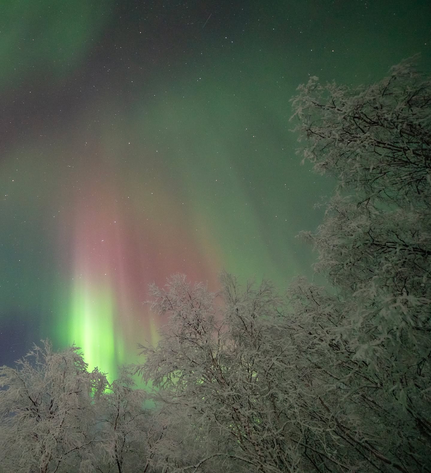February 2026. Finnish Lapland