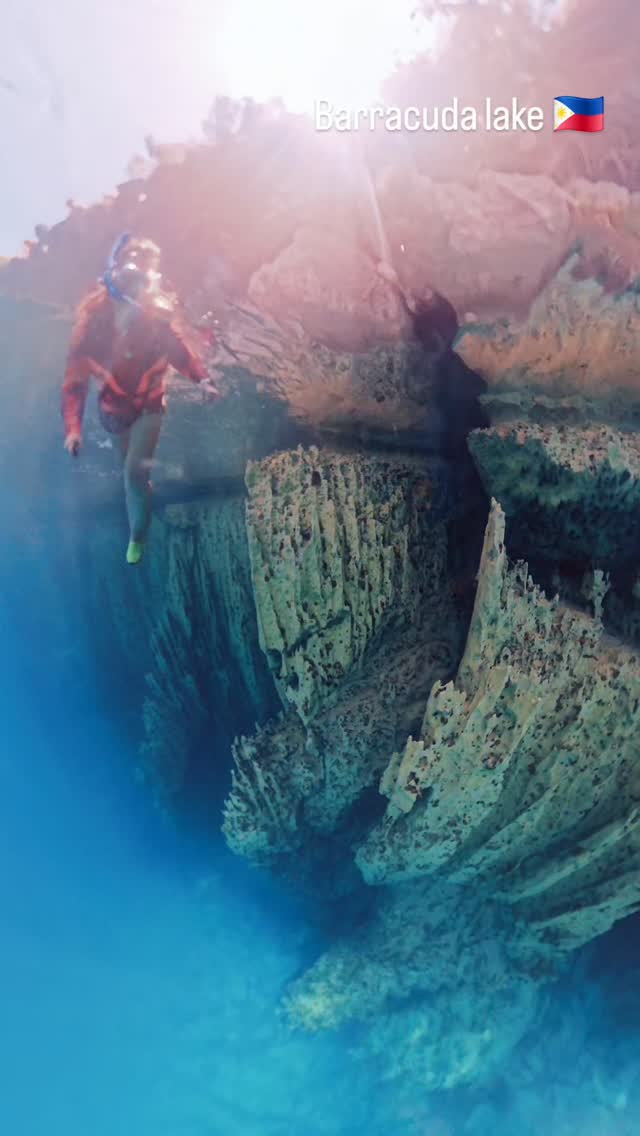 Barracuda Lake in Coron, Philippines was my unexpected WOW moment. Limestone cliffs dramatically going 40 meters down in amazing clear waters that you can see very clearly by snorkeling! If you dive just 15 meters the temperature rises dramatically. Mixed layers of salty and fresh waters are visible. Never experienced something like  this! It's like floating over a cliff! 
#barracudalake #coron #phillipines #filipinas #naturelovers