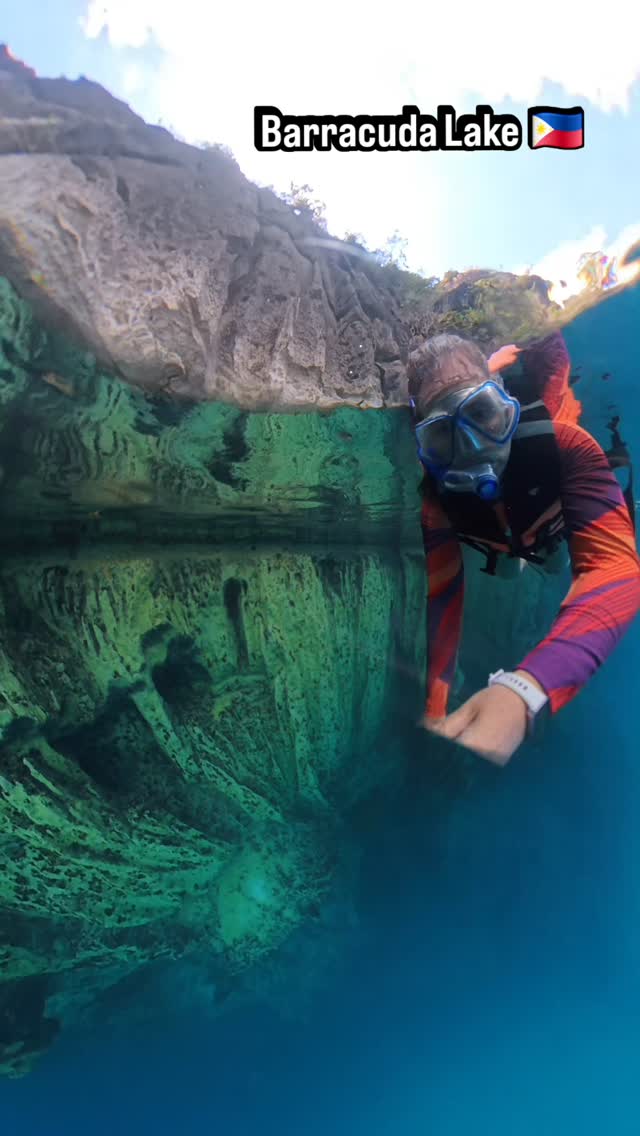 Barracuda Lake Shorter reel. Very impressive limestone underwater walls with straight 40 meters down, unbelievable visibility! Photos and videos make no justice! #barracudalake #coron #phillipines #naturelovers #snorkeling