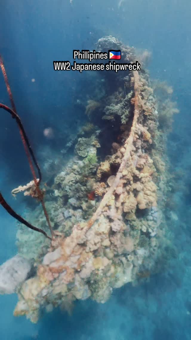 #Coron #phillipines #shipwreck accessible via #snorkeling with so clear and shallow waters. Incredible how much life can develop. Japanese World War history.